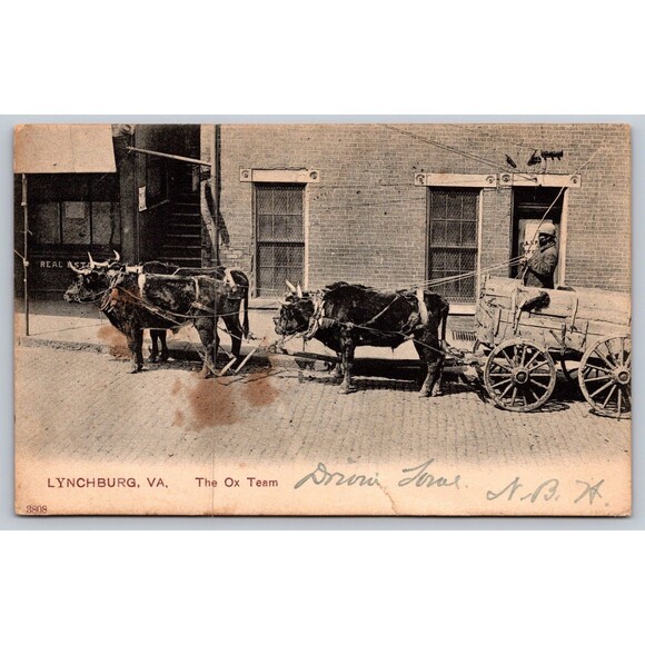Postcard Virginia Lynchburg The Ox Team Oxen Pulling Wagon Town Real Estate 1910 - Picture 1 of 2